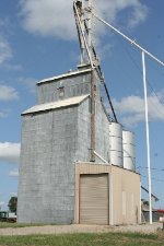 Grain plant still standing